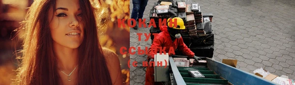 соль ск Арсеньев