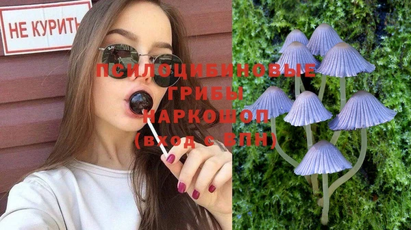 мескалин Покров