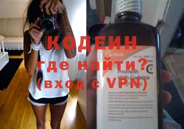шишки Пересвет