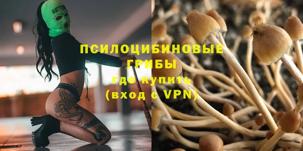 шишки Пересвет